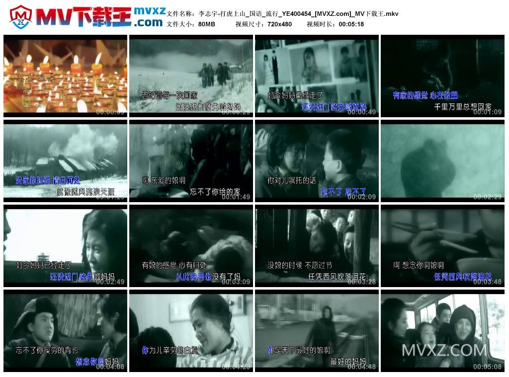 李志宇-打虎上山_国语_流行_YE400454